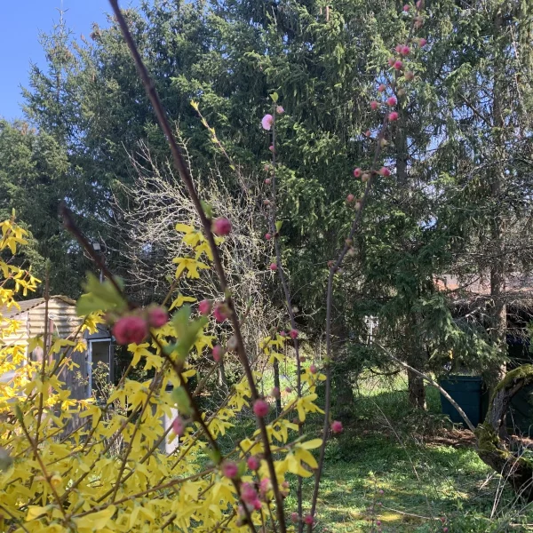 ZWISCHEN AUENWALD UND CITY, PERFEKTE LAGE