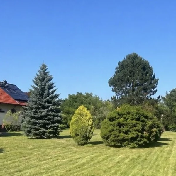 Urban Living & Schrebergarten-Idylle: Das Beste aus zwei Welten**